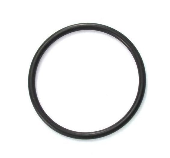 AstralPool / Viron / Hurlcon O ring for 50mm MPV union adapter E, RX series