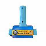 Stainless Steel Algae Brush