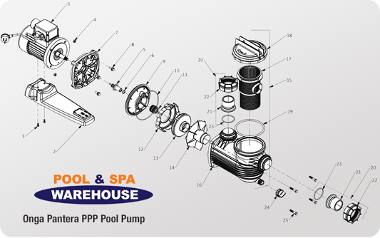 ONGA UNION for Pantera