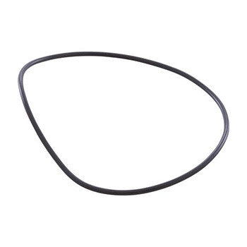 Clearwater C-series oring - Poolshop.com.au