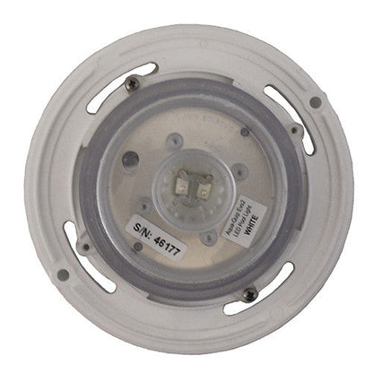 Aquastar Replacement Lights - Poolshop.com.au