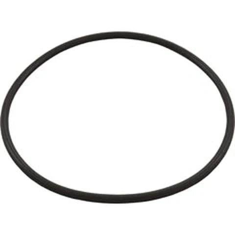 HAYWARD LEAF CANISTER O-RING # AXW542