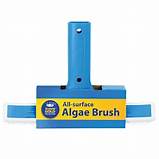 Stainless Steel Algae Brush