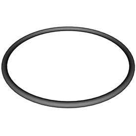 Hayward SPX3000S Strainer Cover O Ring
