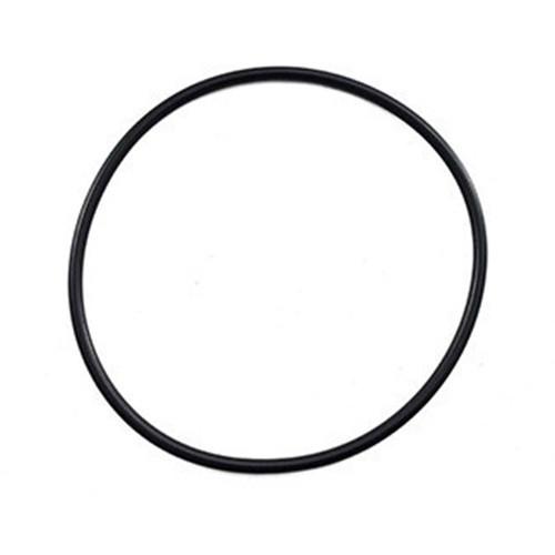 TRi Electrode O'Ring - Poolshop.com.au