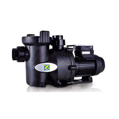 Zodiac E3 Pool Pump