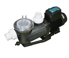 Pentair / Onga Eco VS800 V.Speed Pool Pump